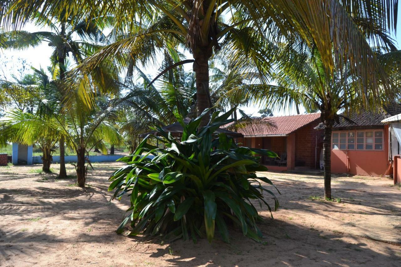 O Camarao Hotell Calangute Eksteriør bilde