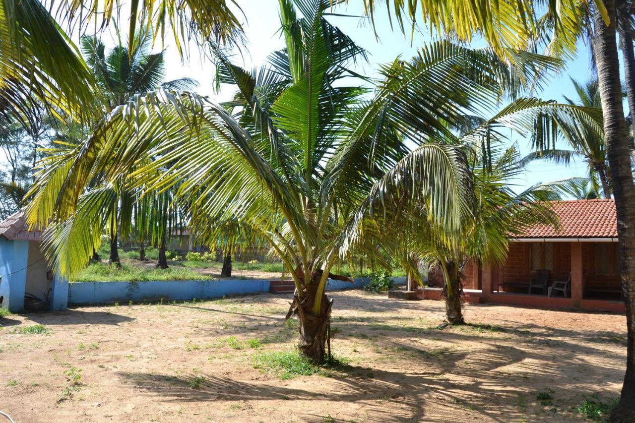 O Camarao Hotell Calangute Eksteriør bilde